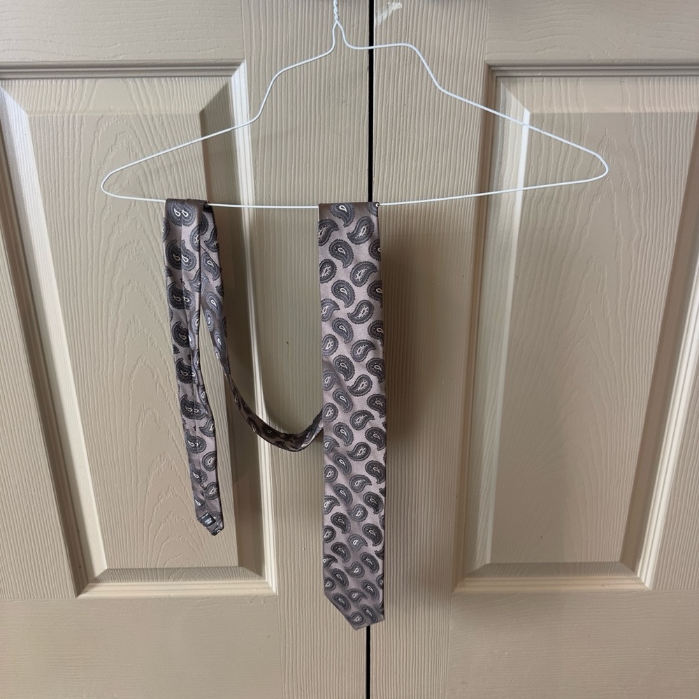 Paisley Patterned Tie - Gray